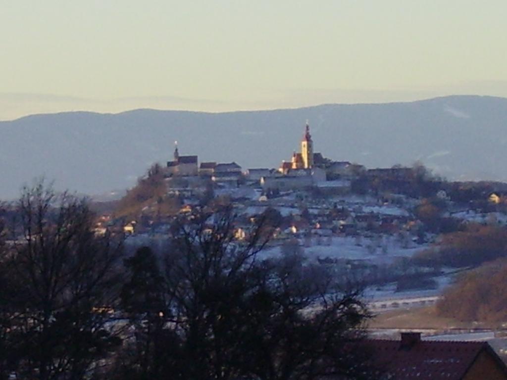 Appartement Weingut Schoberhof Bad Gleichenberg Pokój zdjęcie