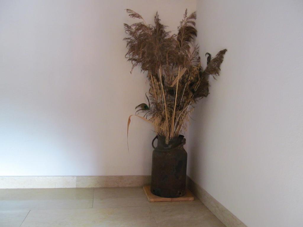 Appartement Weingut Schoberhof Bad Gleichenberg Pokój zdjęcie