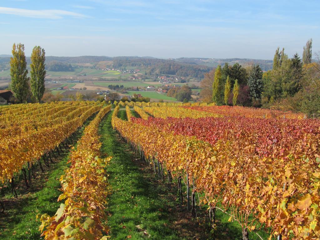 Appartement Weingut Schoberhof Bad Gleichenberg Pokój zdjęcie
