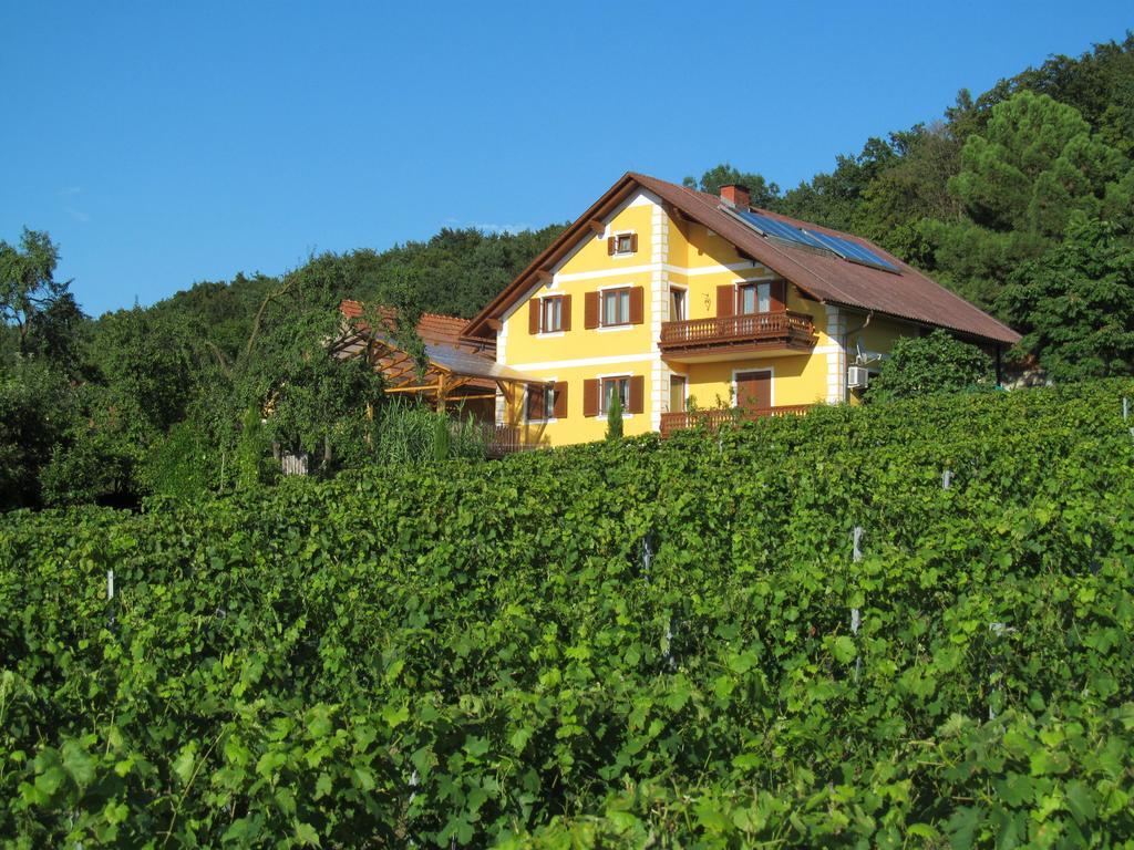 Appartement Weingut Schoberhof Bad Gleichenberg Zewnętrze zdjęcie